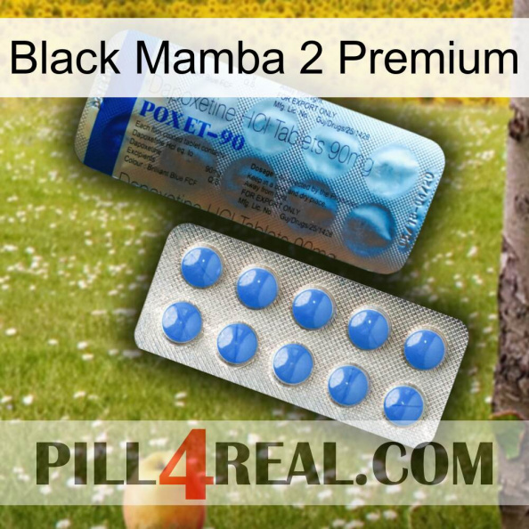 Black Mamba 2 Premium 40.jpg